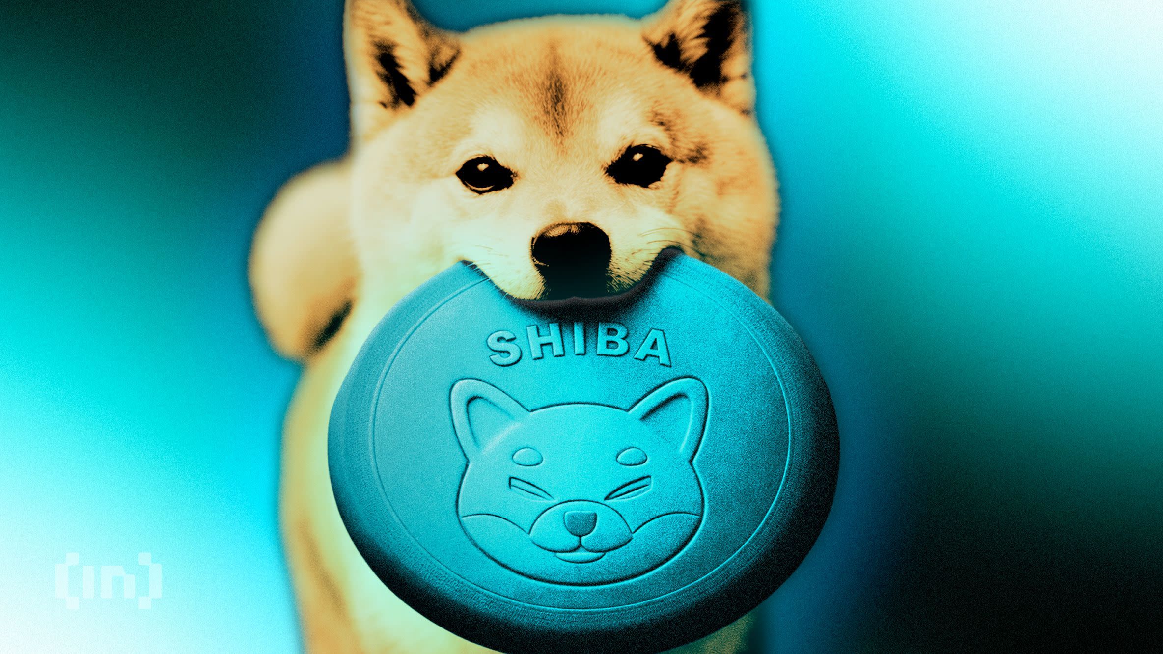 Shiba Inu dog holding SHIBA token symbol representing meme coin culture and cryptocurrency hype