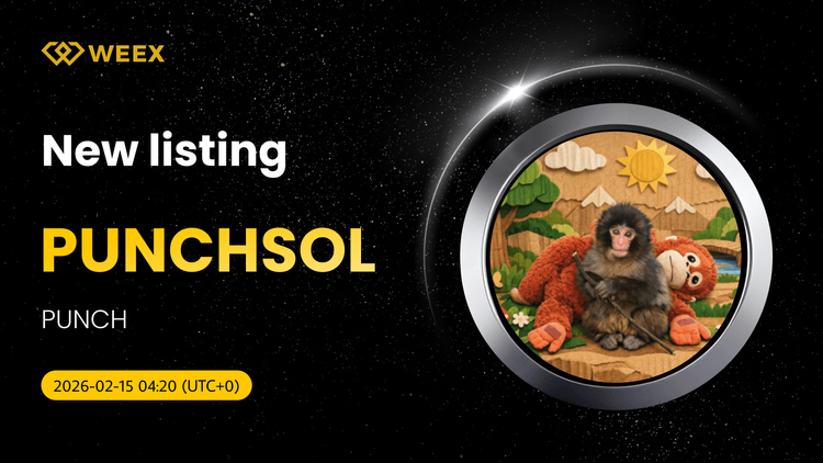 PUNCHSOL USDT Spot Trading Opens on WEEX Exchange